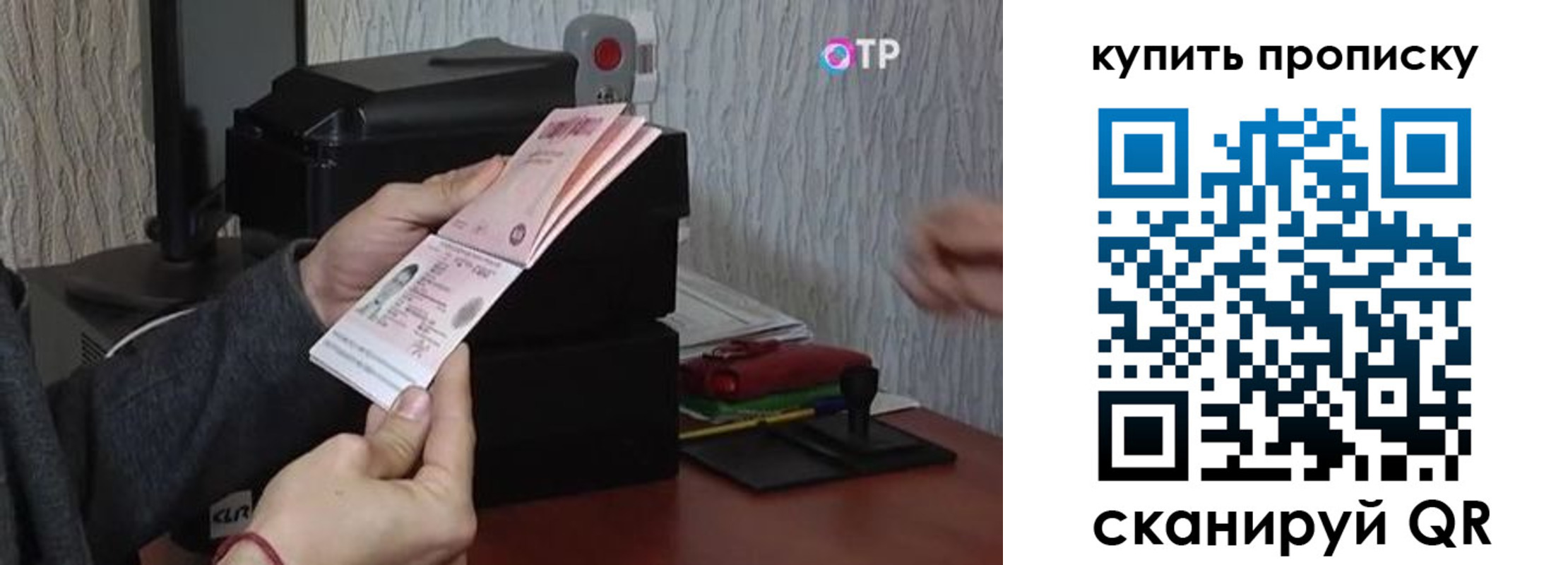 прописка гарантия в Дорогобуже