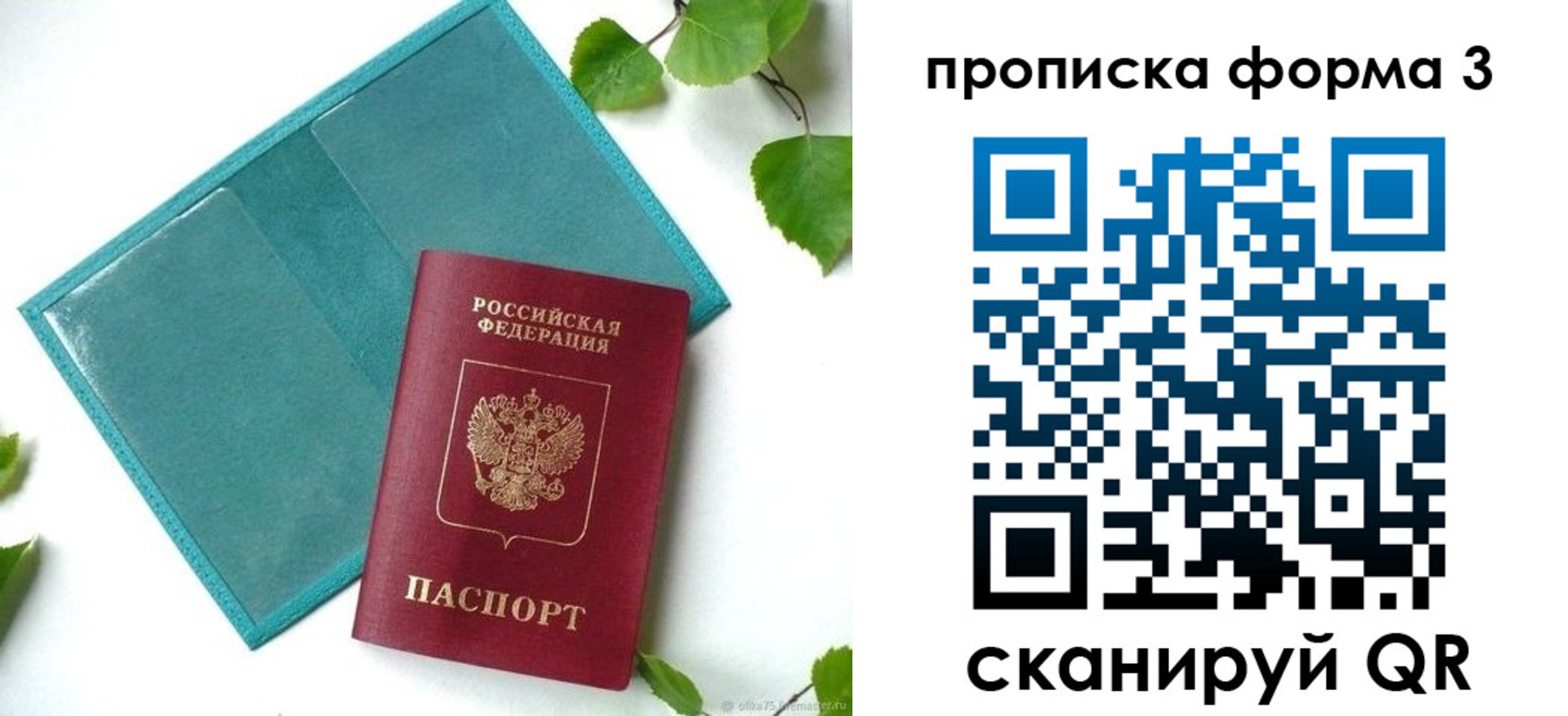 прописка ребенка в Дорогобуже